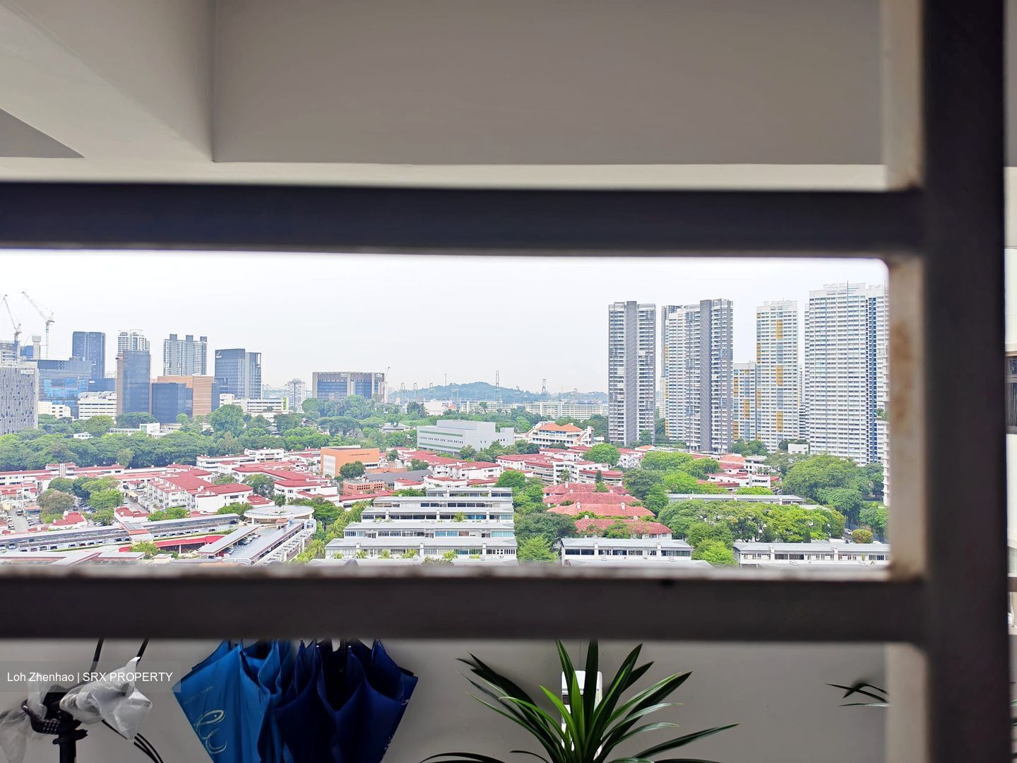 Blk 6A Boon Tiong Arcadia (Bukit Merah), HDB 4 Rooms #568428601